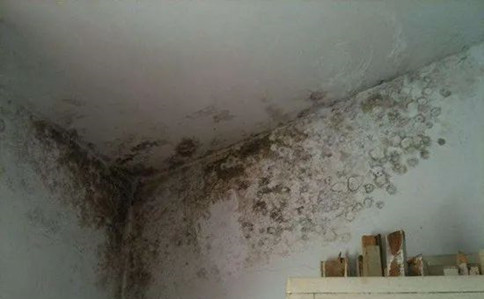 房子的天花板漏水了该怎么办？